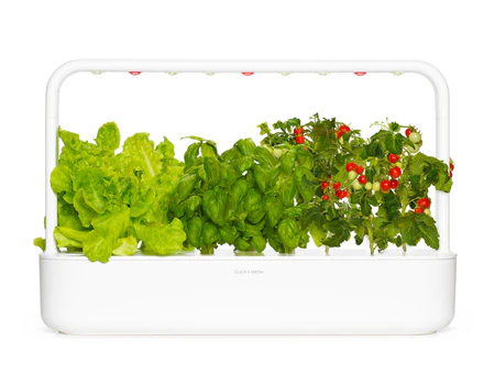 click and grow