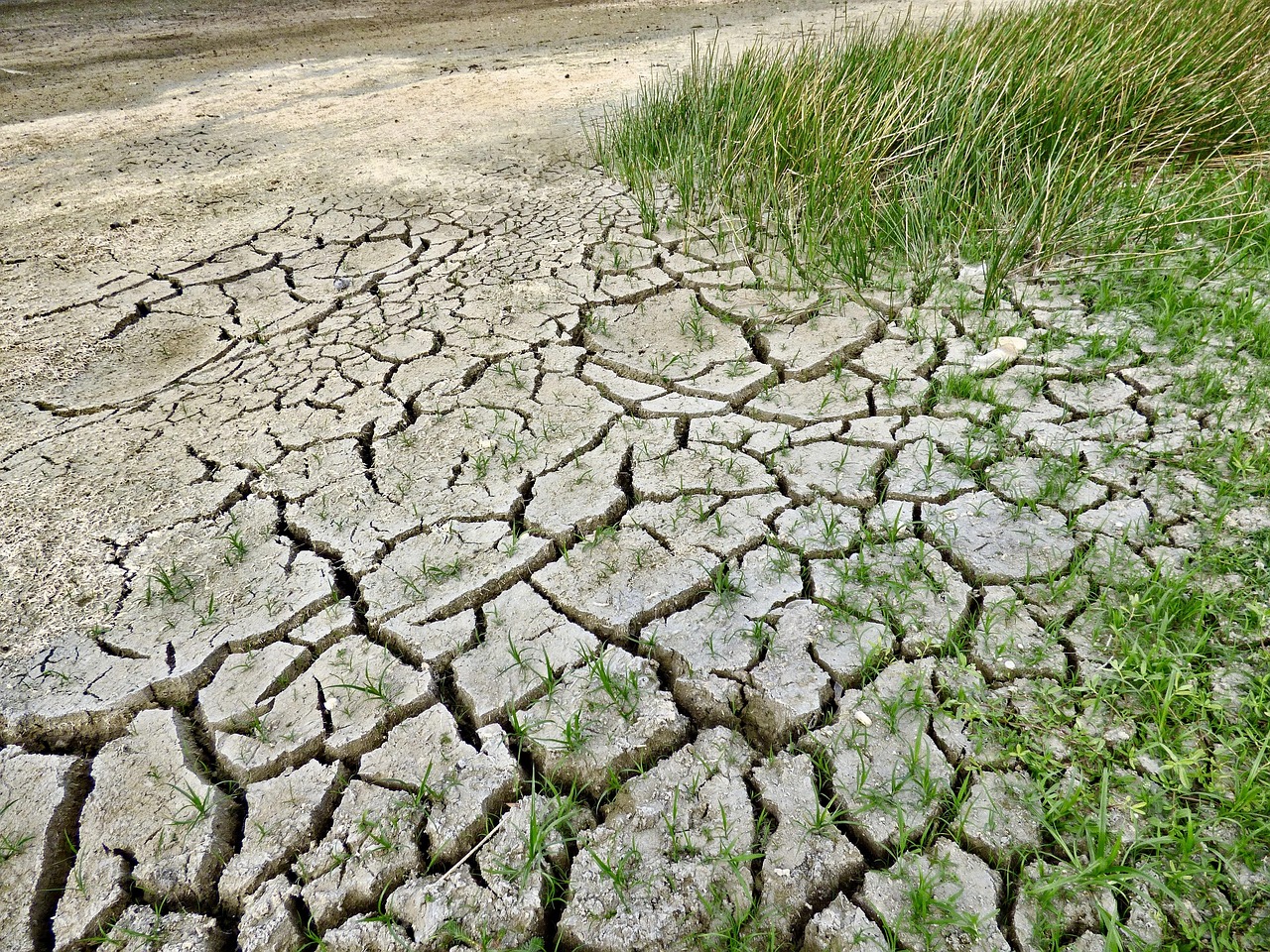 climate
